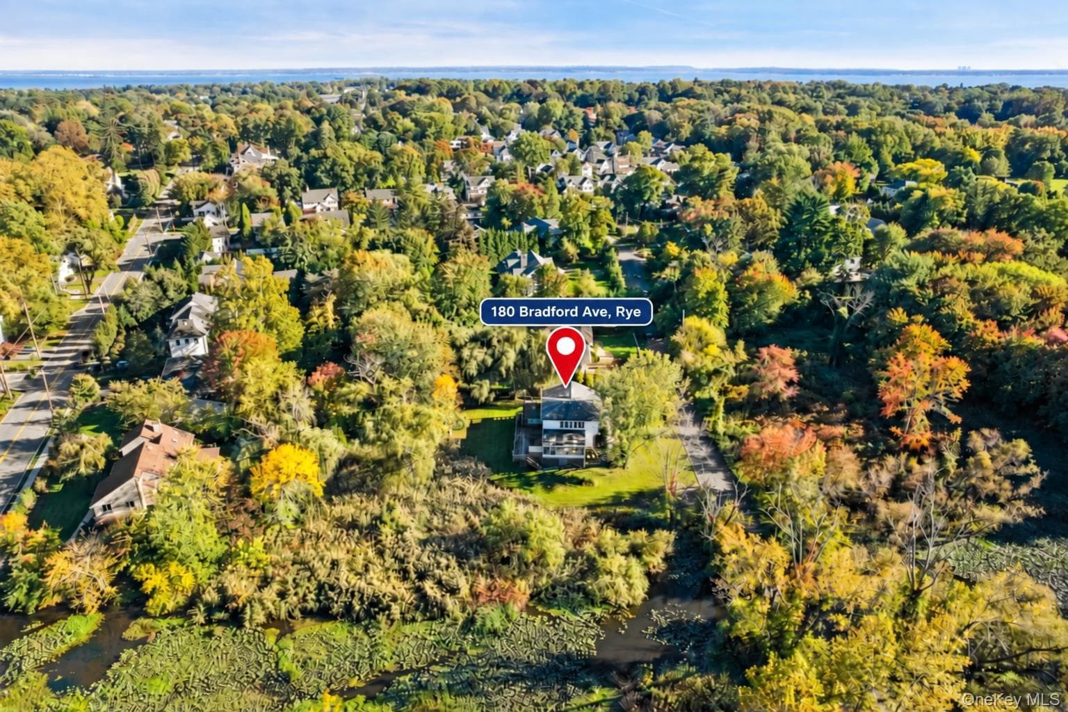 180 Bradford Avenue thumbnail 2