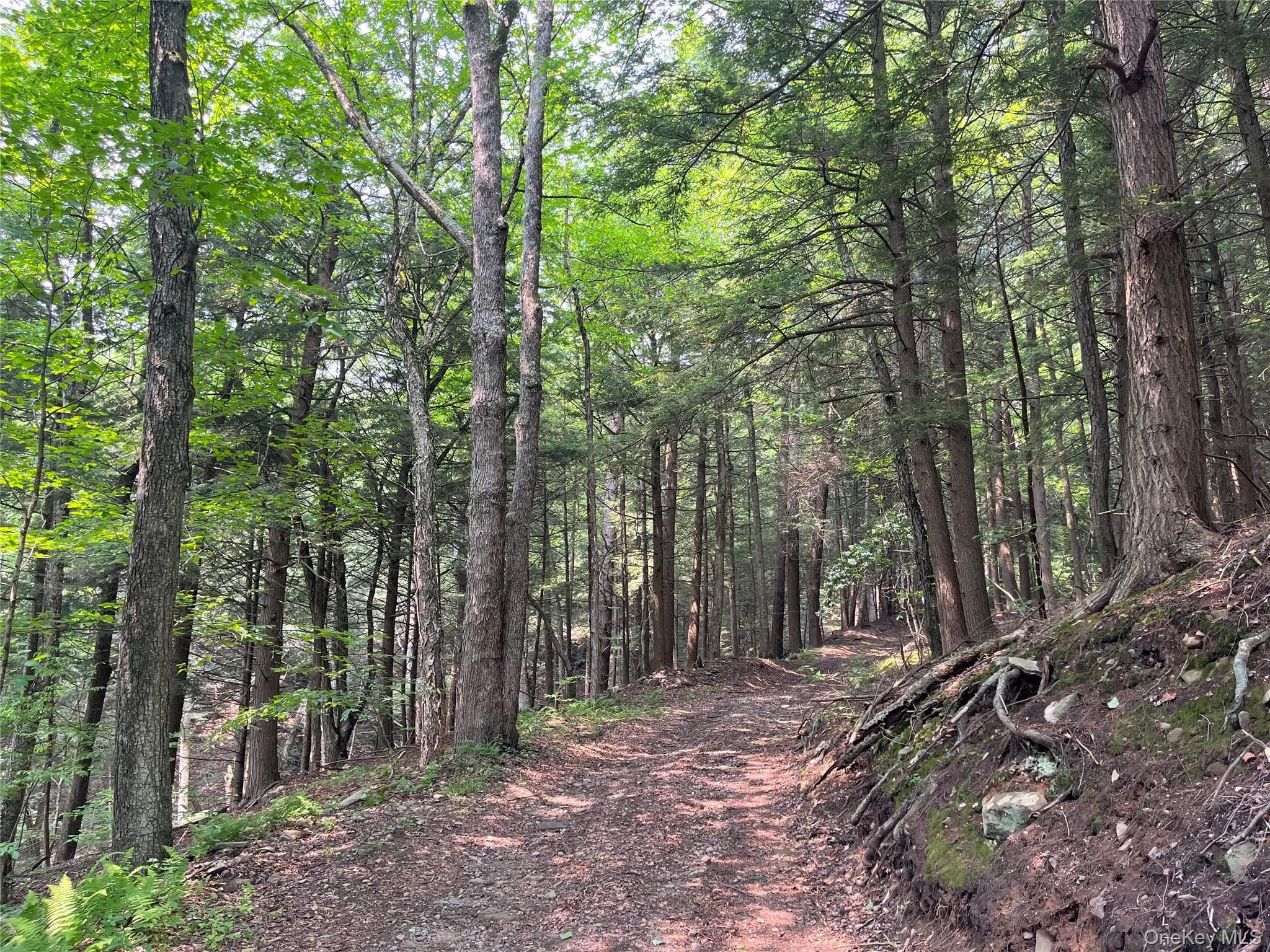 Hood Road thumbnail 9
