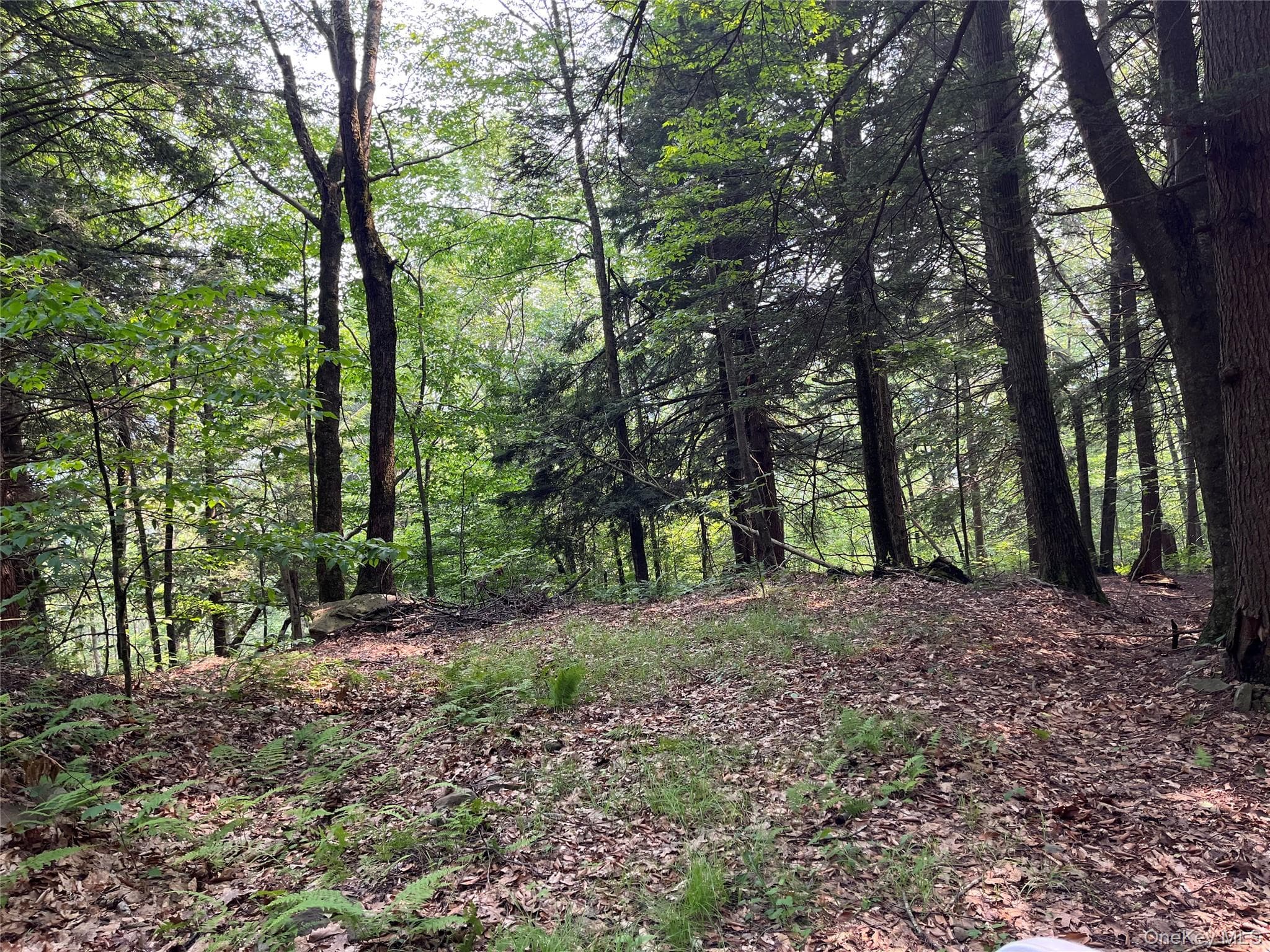 Hood Road thumbnail 19