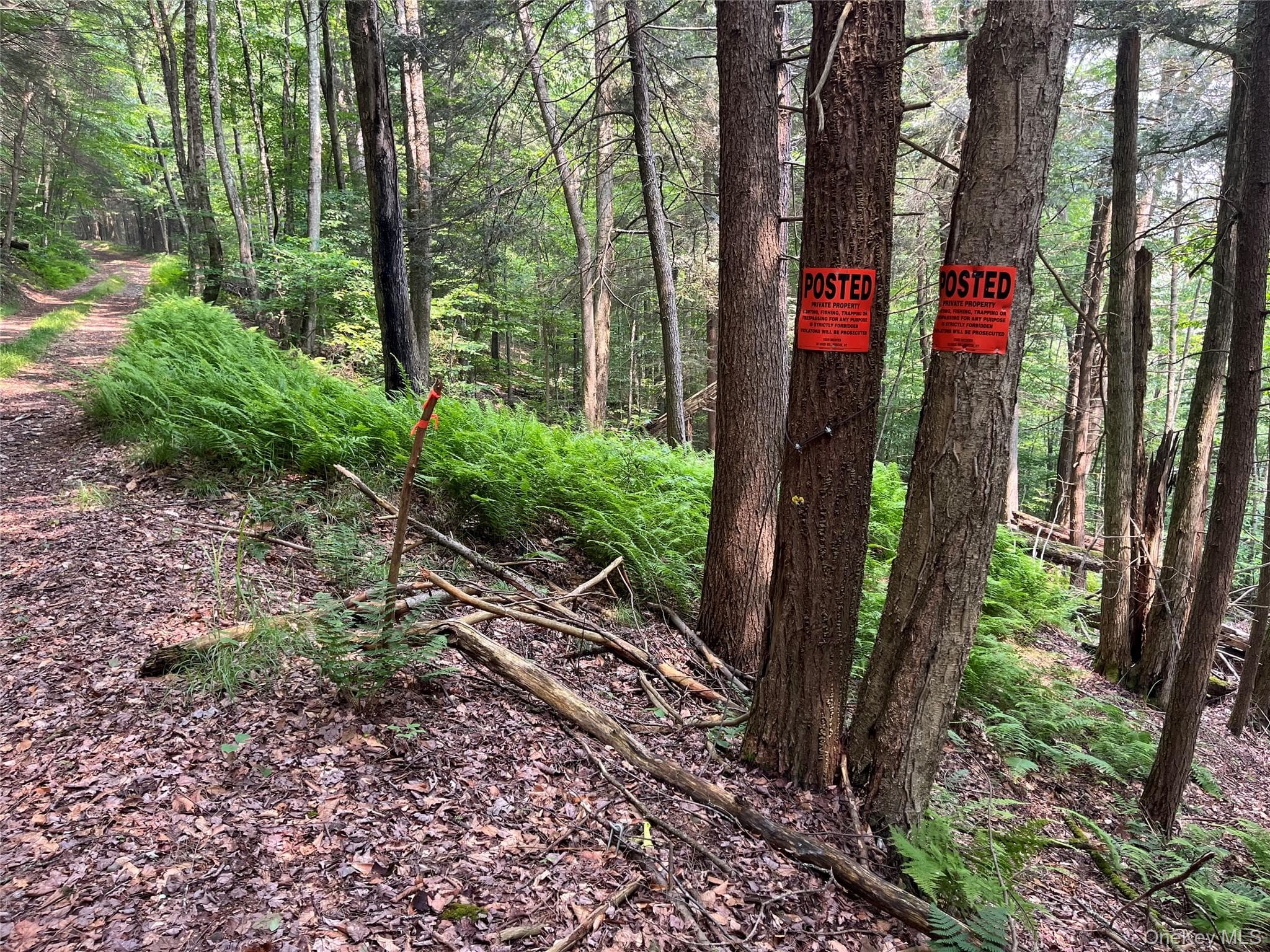 Hood Road thumbnail 10
