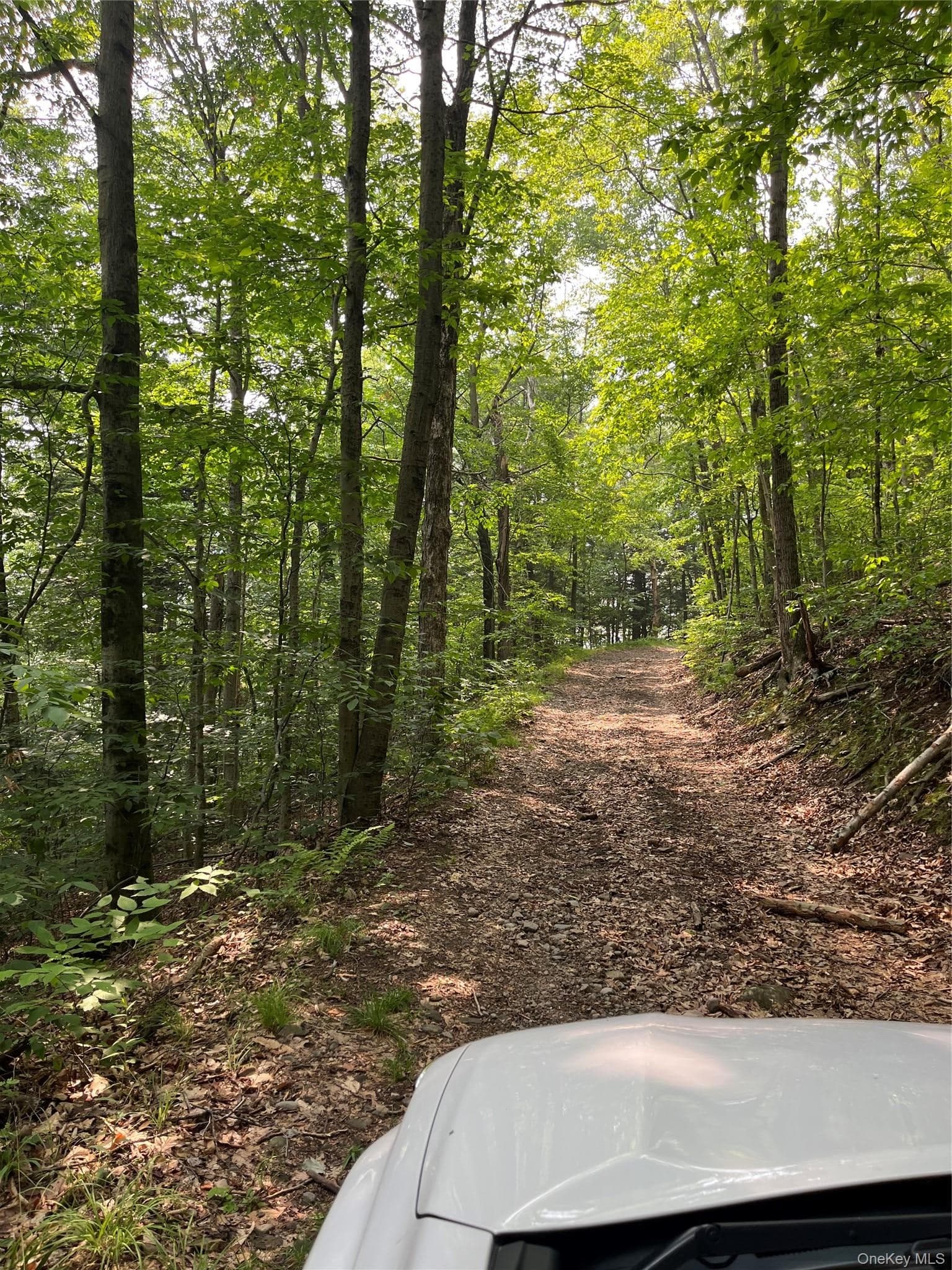 Hood Road thumbnail 8