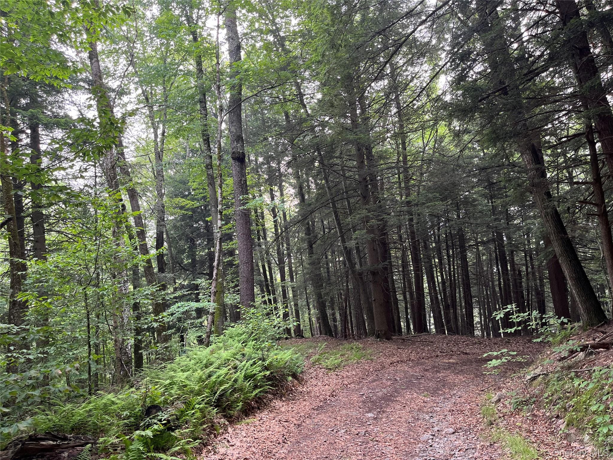 Hood Road thumbnail 18