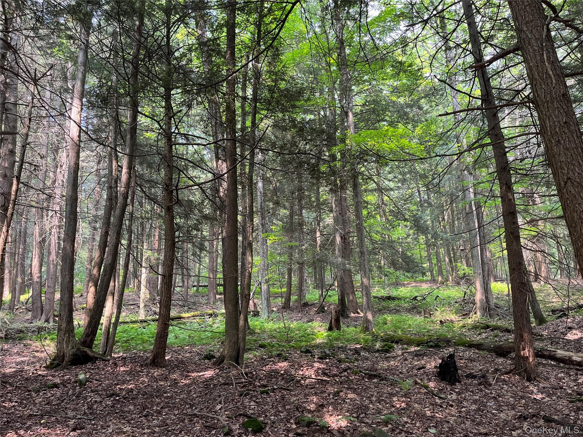 Hood Road thumbnail 14