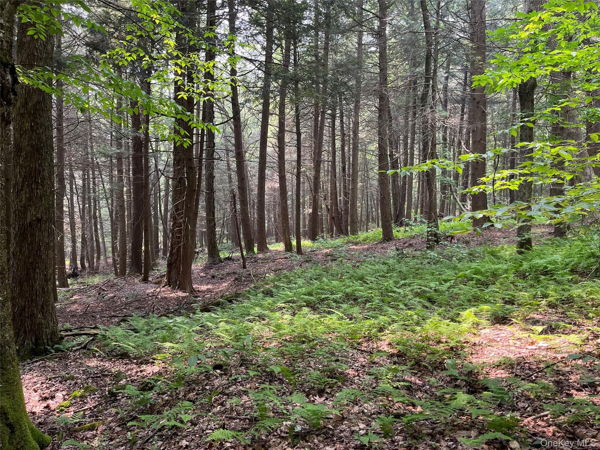 Hood Road thumbnail 12
