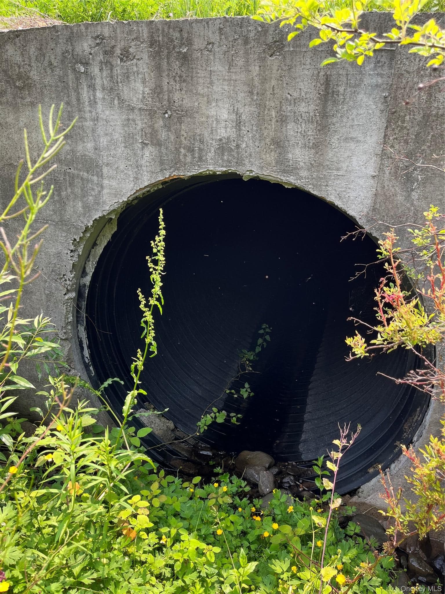 Hood Road thumbnail 2