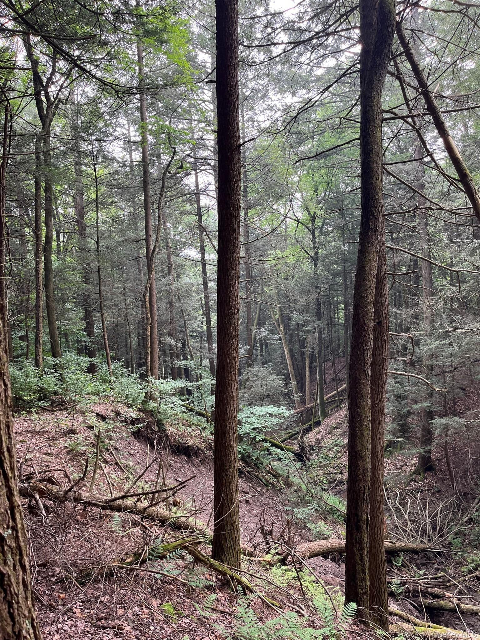 Hood Road thumbnail 15