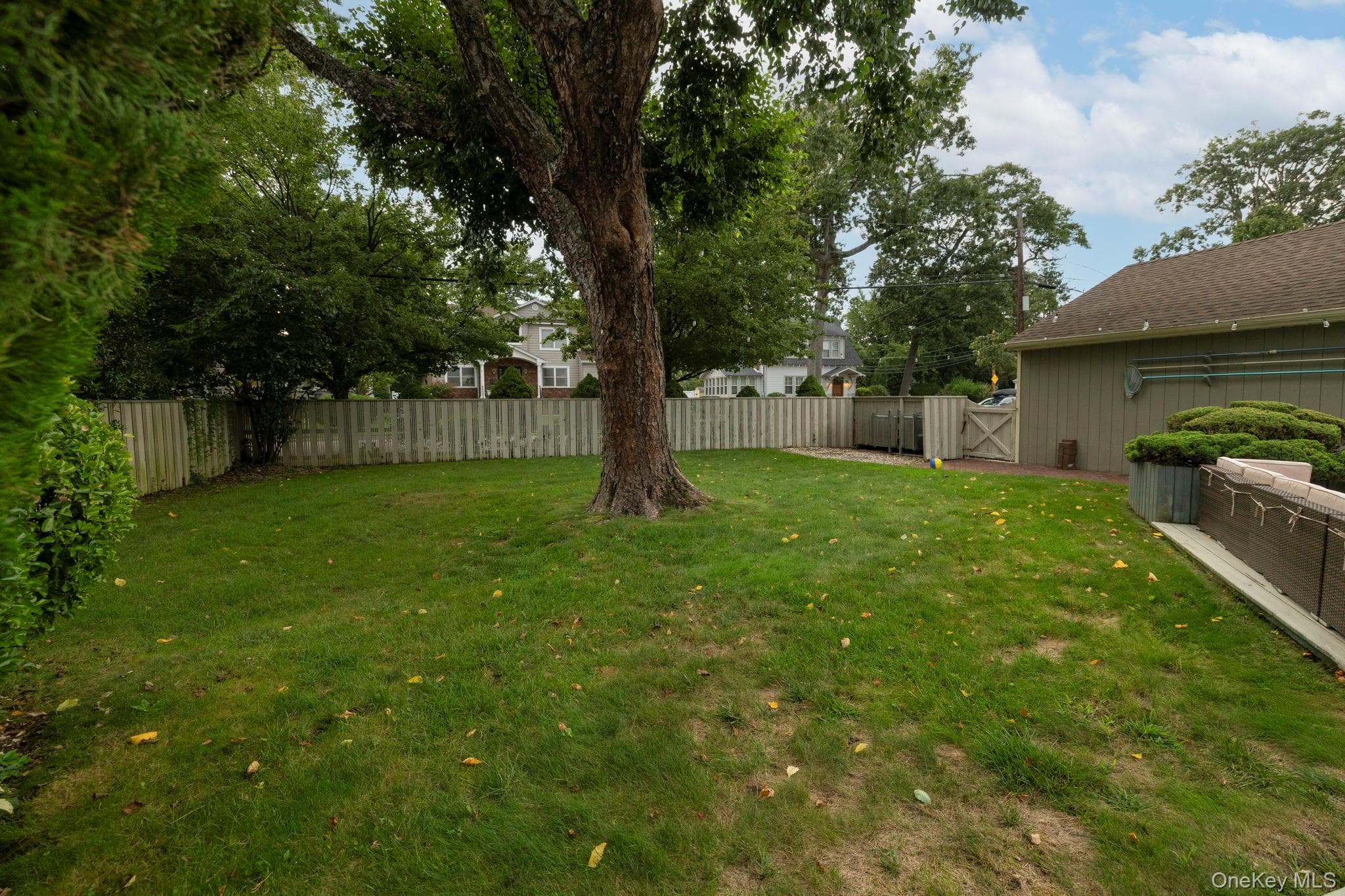 3186 William Street thumbnail 44
