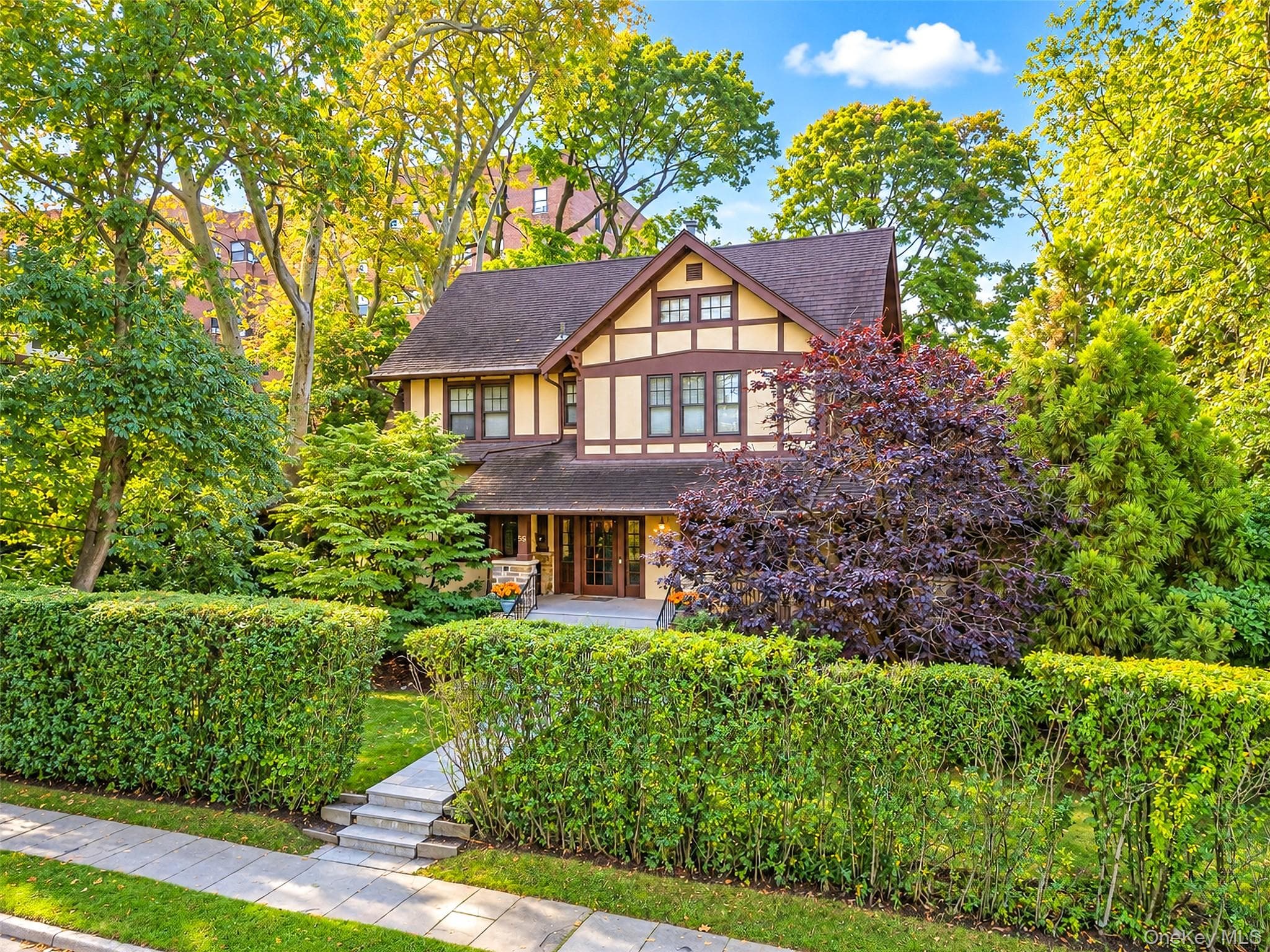 56 Ellwood Avenue thumbnail 38