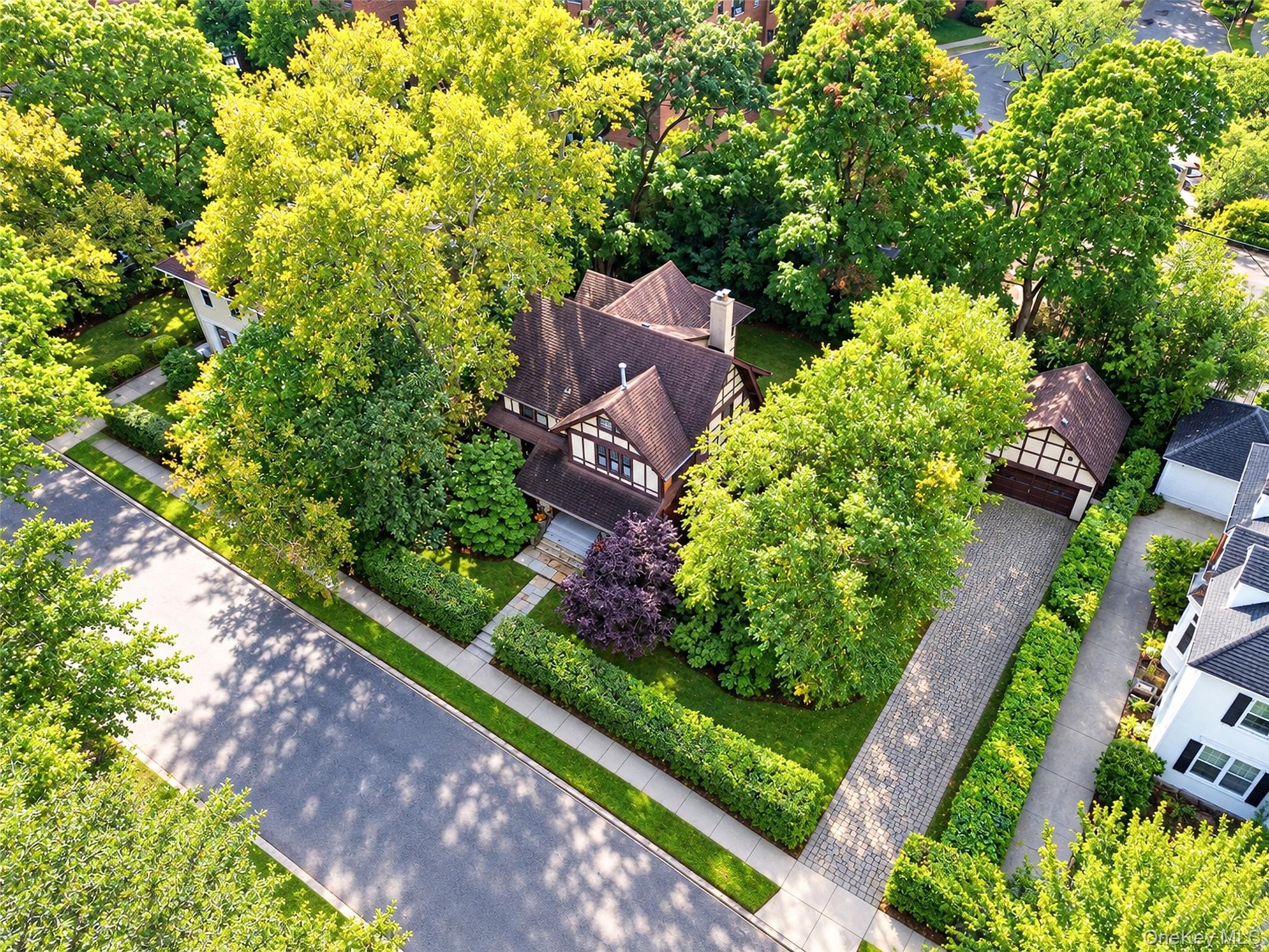56 Ellwood Avenue thumbnail 39
