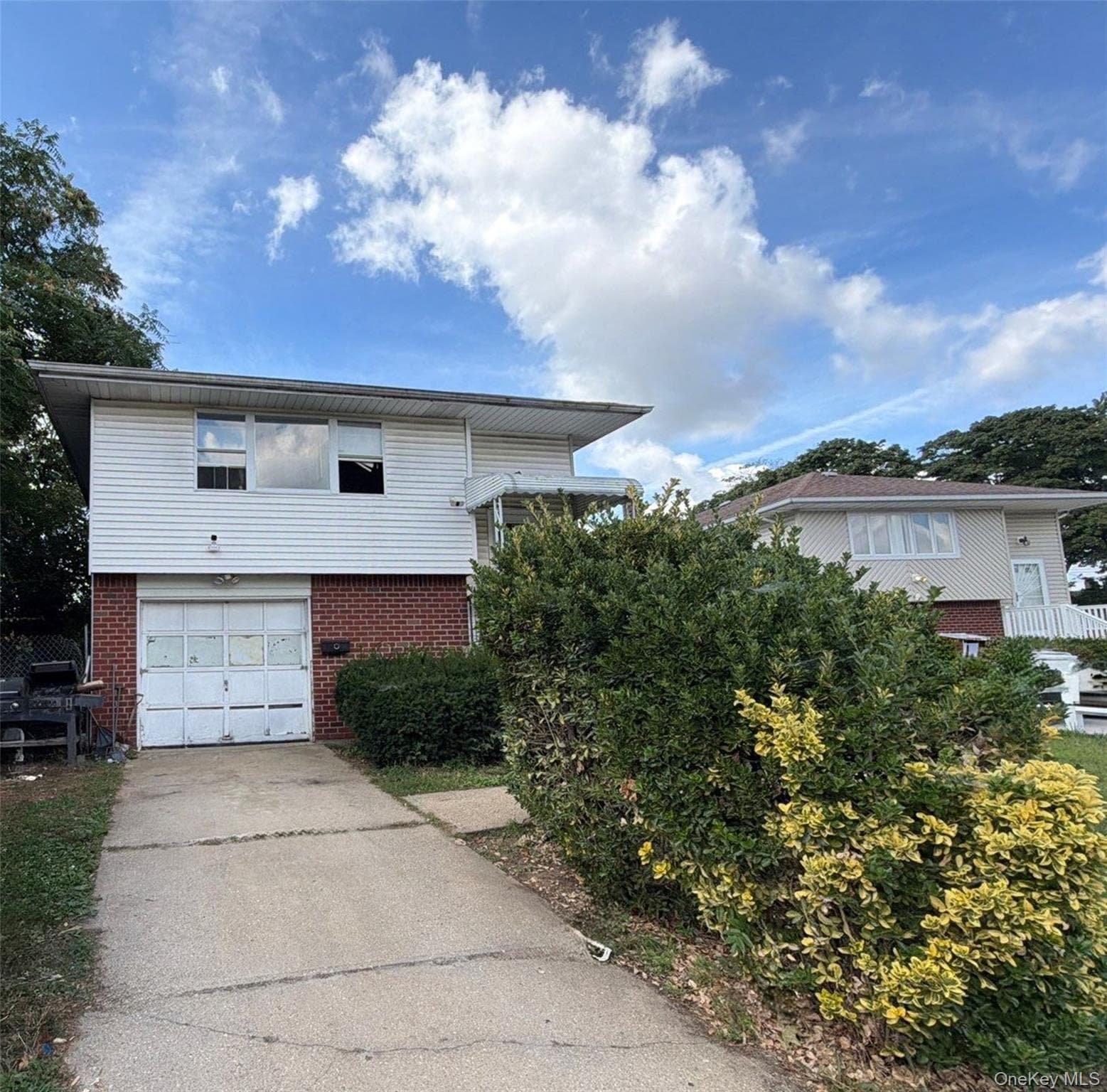 1008 Ditmas Avenue thumbnail 4