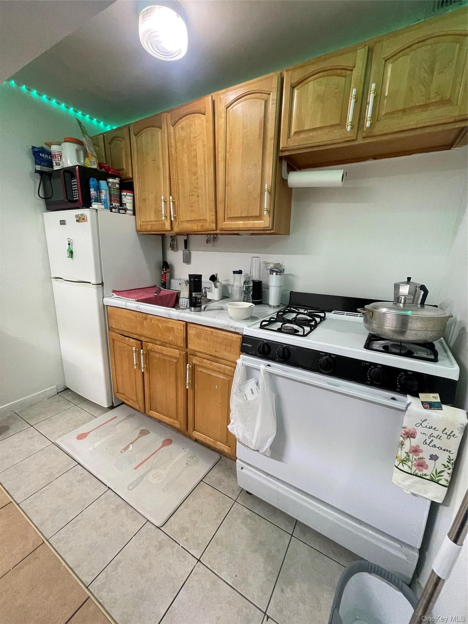 2730 Kingsbridge Terrace thumbnail 8