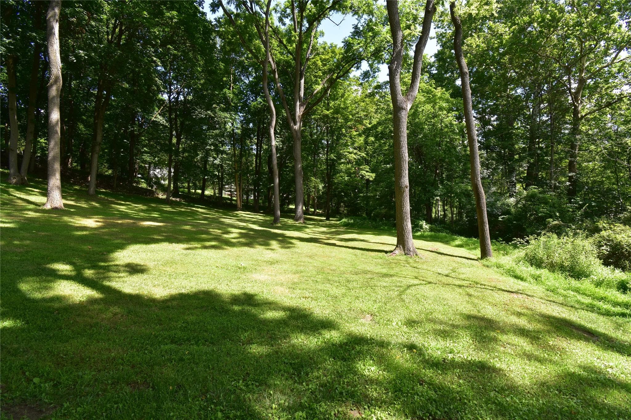 Stewart Avenue thumbnail 7