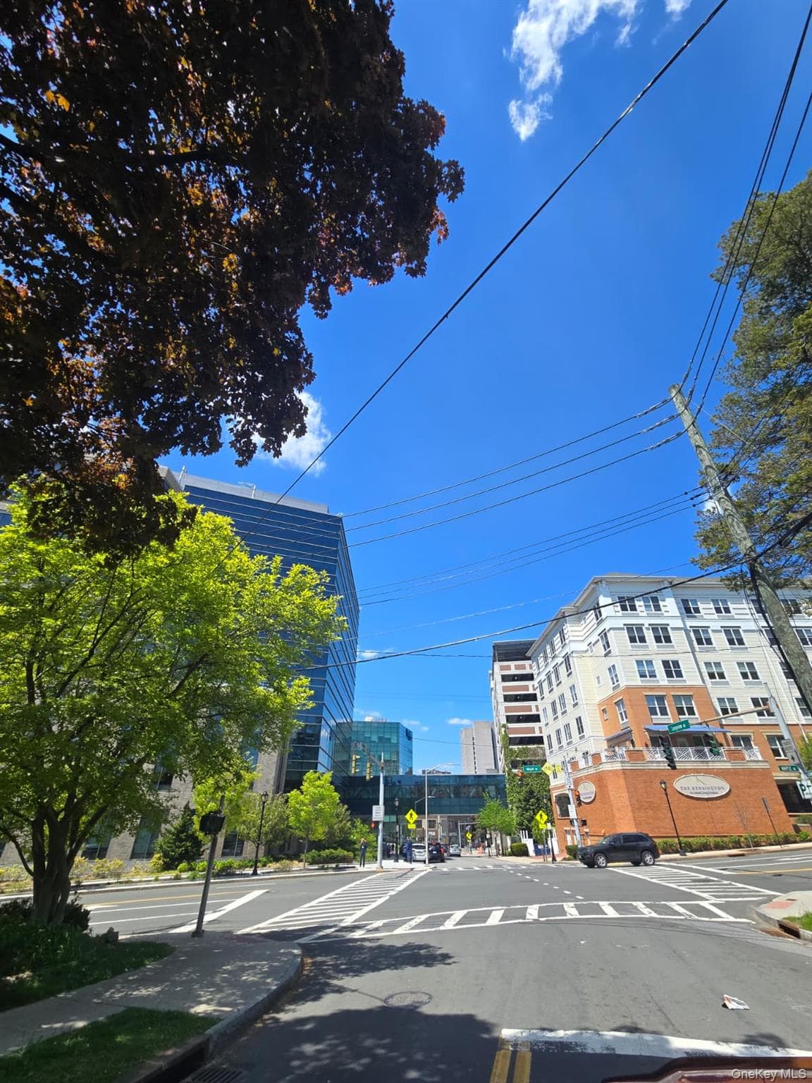 4 Martine Avenue Unit: 1501 thumbnail 15
