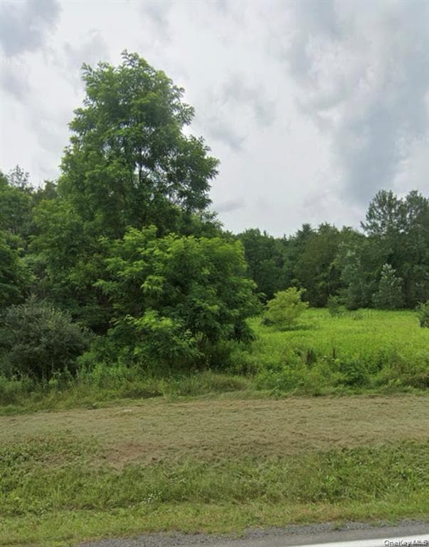 14951 State Route 23, Prattsville
