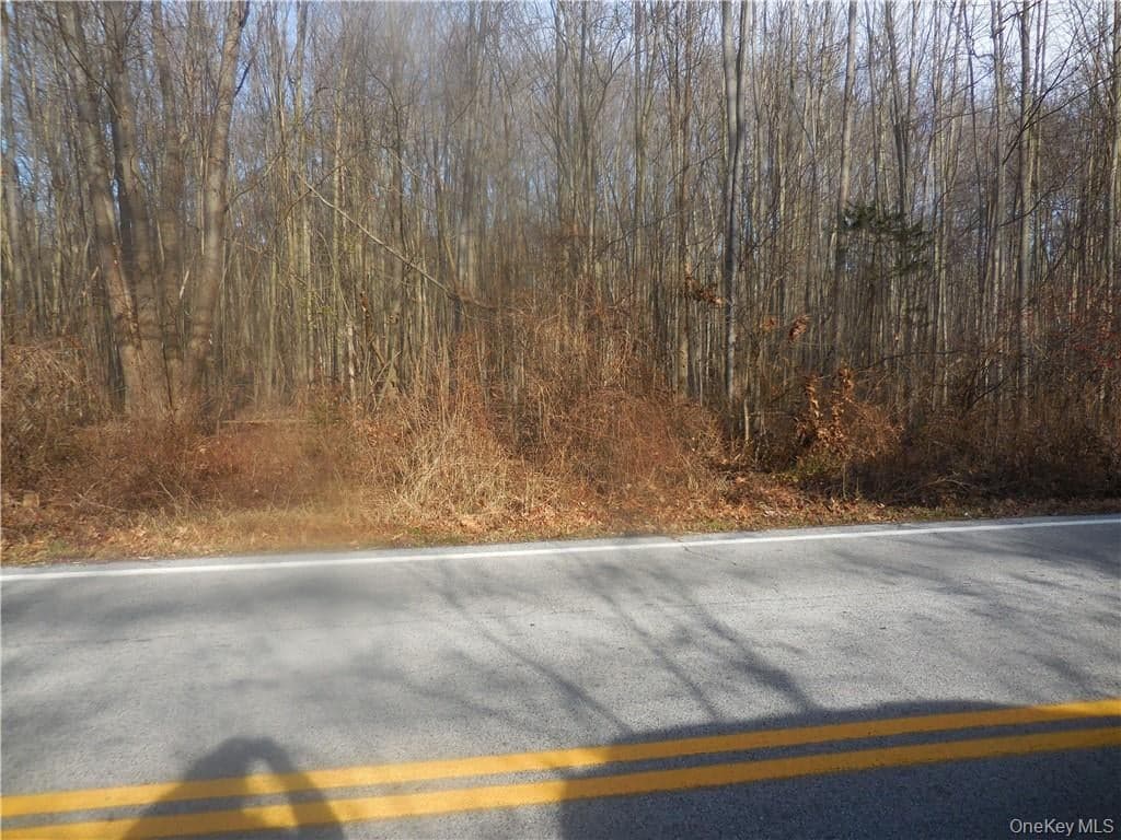 Lakeside Road thumbnail 23
