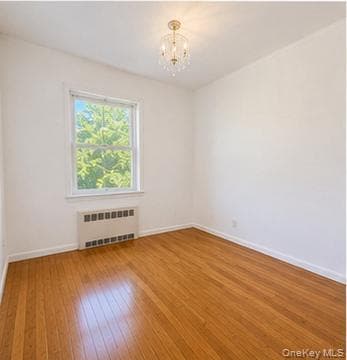 224 New Hyde Park Road thumbnail 10