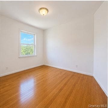 224 New Hyde Park Road thumbnail 11