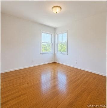 224 New Hyde Park Road thumbnail 9