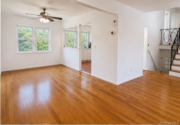 224 New Hyde Park Road thumbnail 6