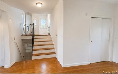 224 New Hyde Park Road thumbnail 8
