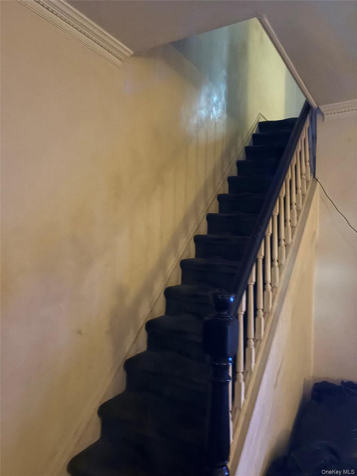 510 E 51st Street thumbnail 2