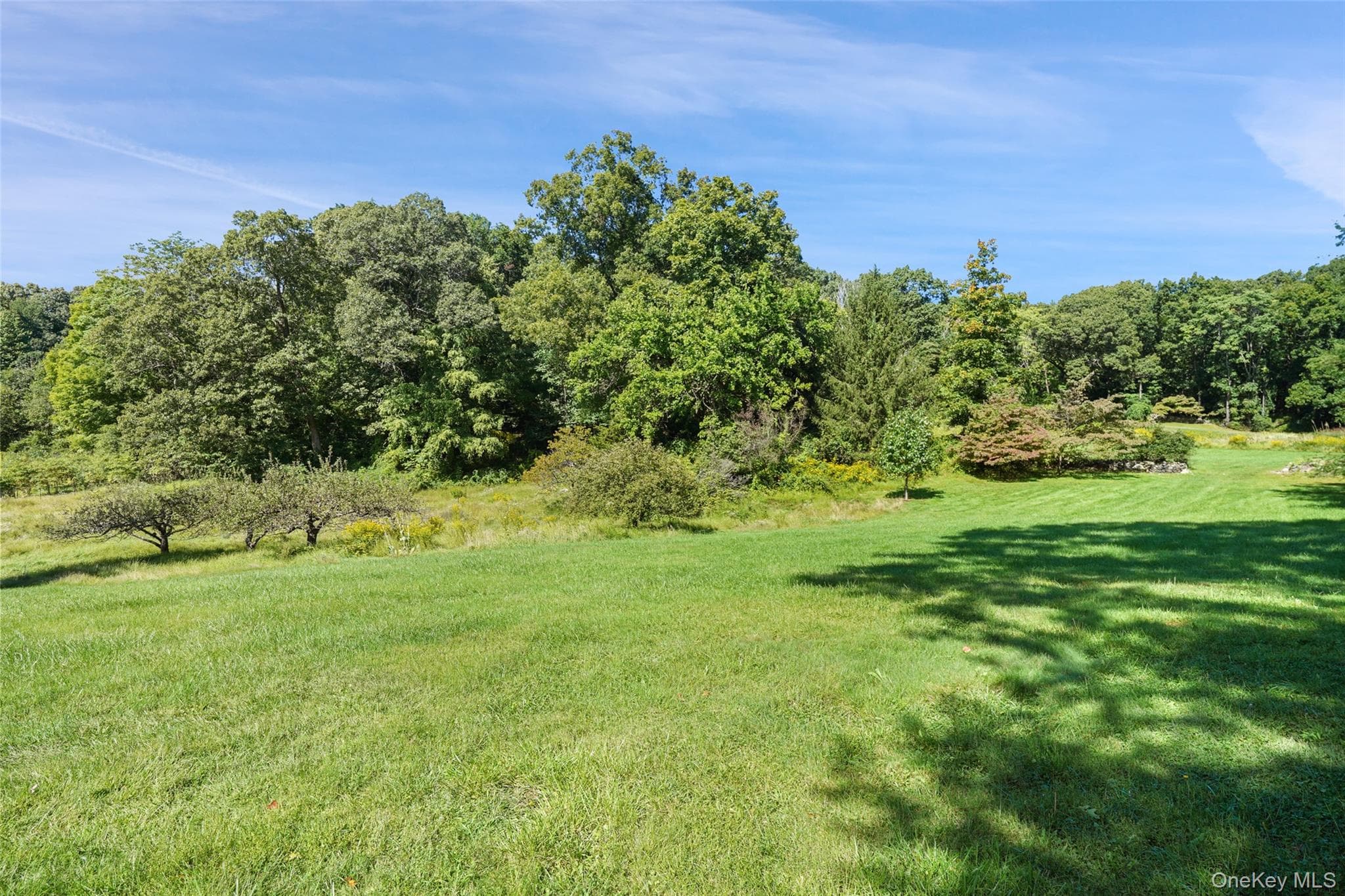 422 Mt Holly Road thumbnail 18