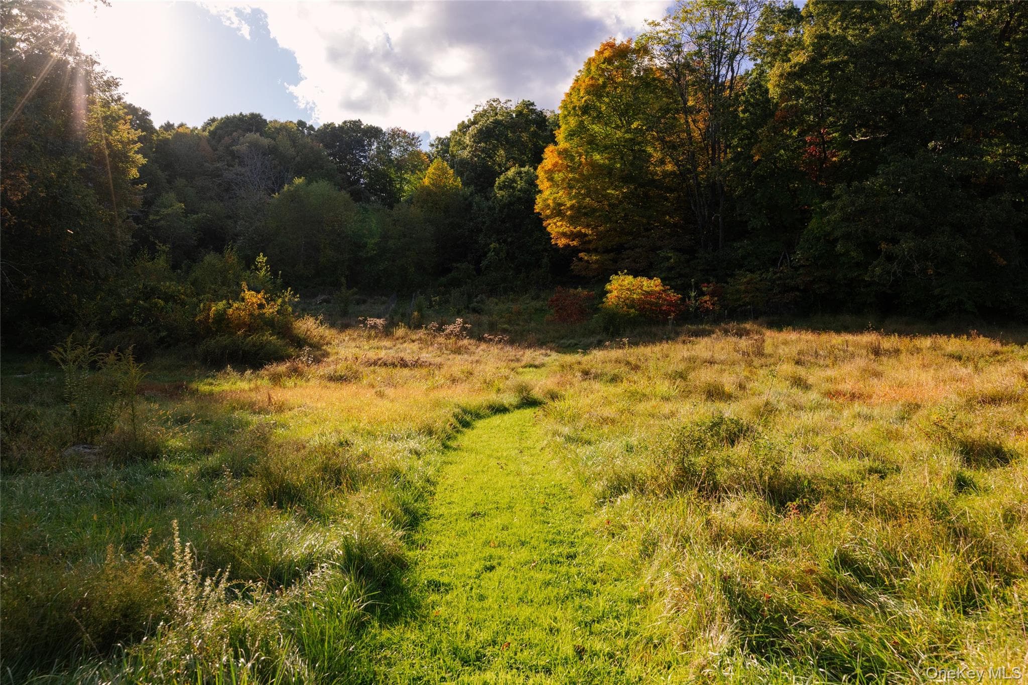 422 Mt Holly Road thumbnail 16