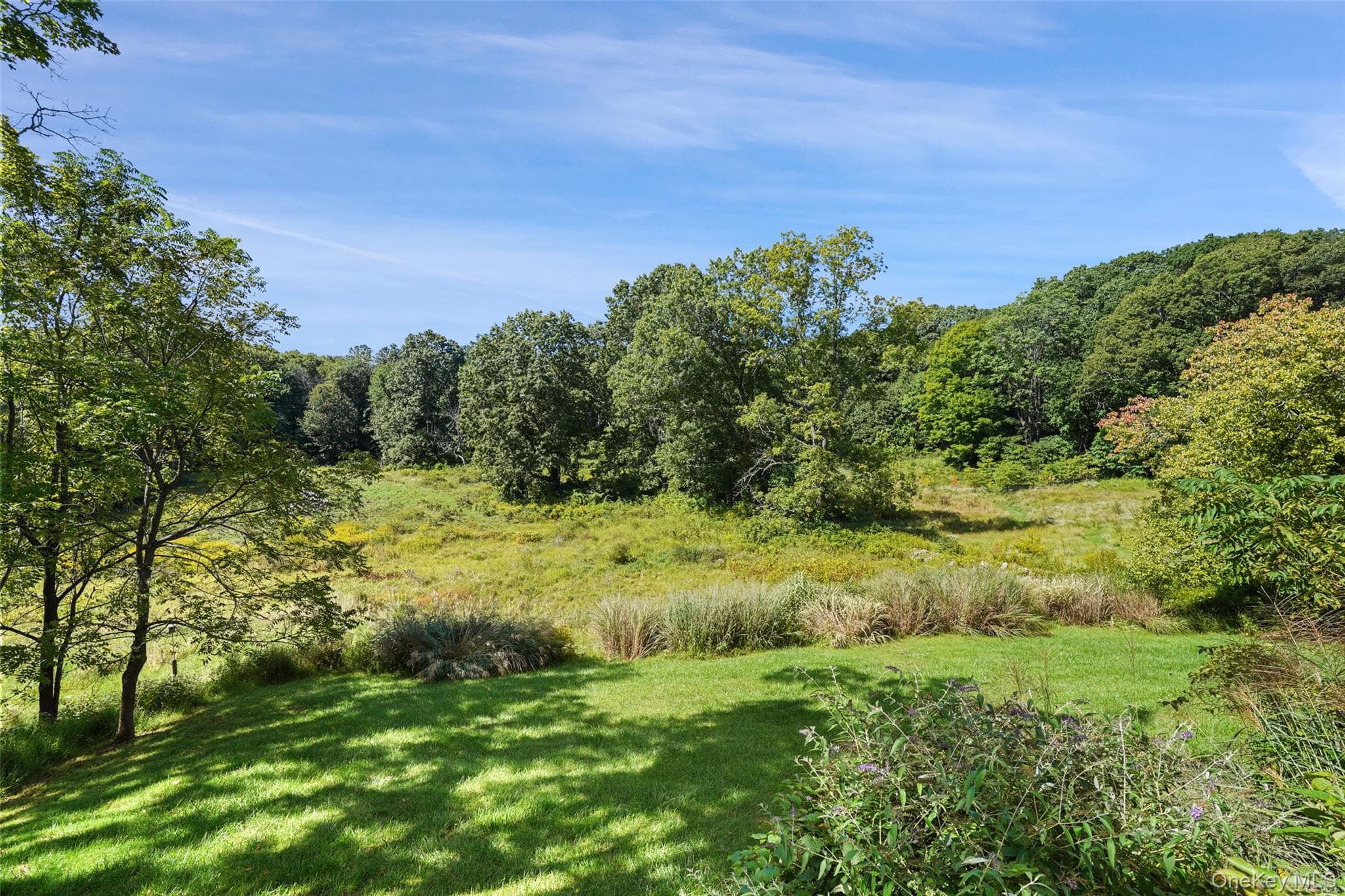 422 Mt Holly Road thumbnail 27