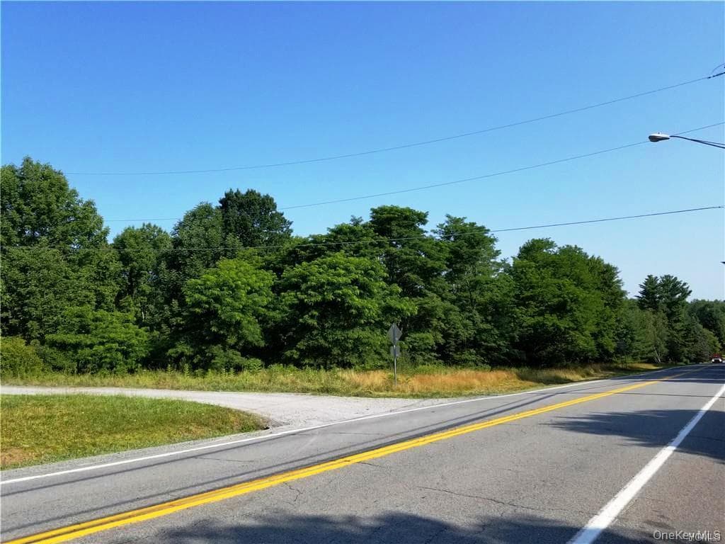Lot 18 Horseshoe Lake Road And State Route 55 Rd thumbnail 10