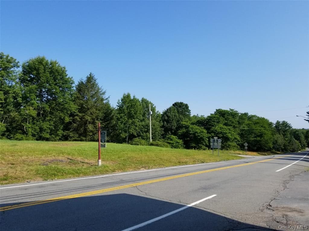 Lot 18 Horseshoe Lake Road And State Route 55 Rd thumbnail 8