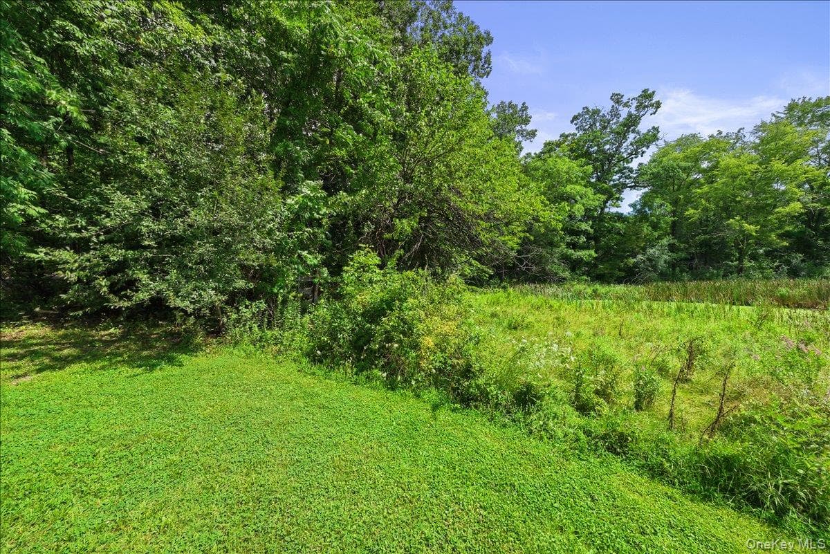 Beckrick Drive thumbnail 6