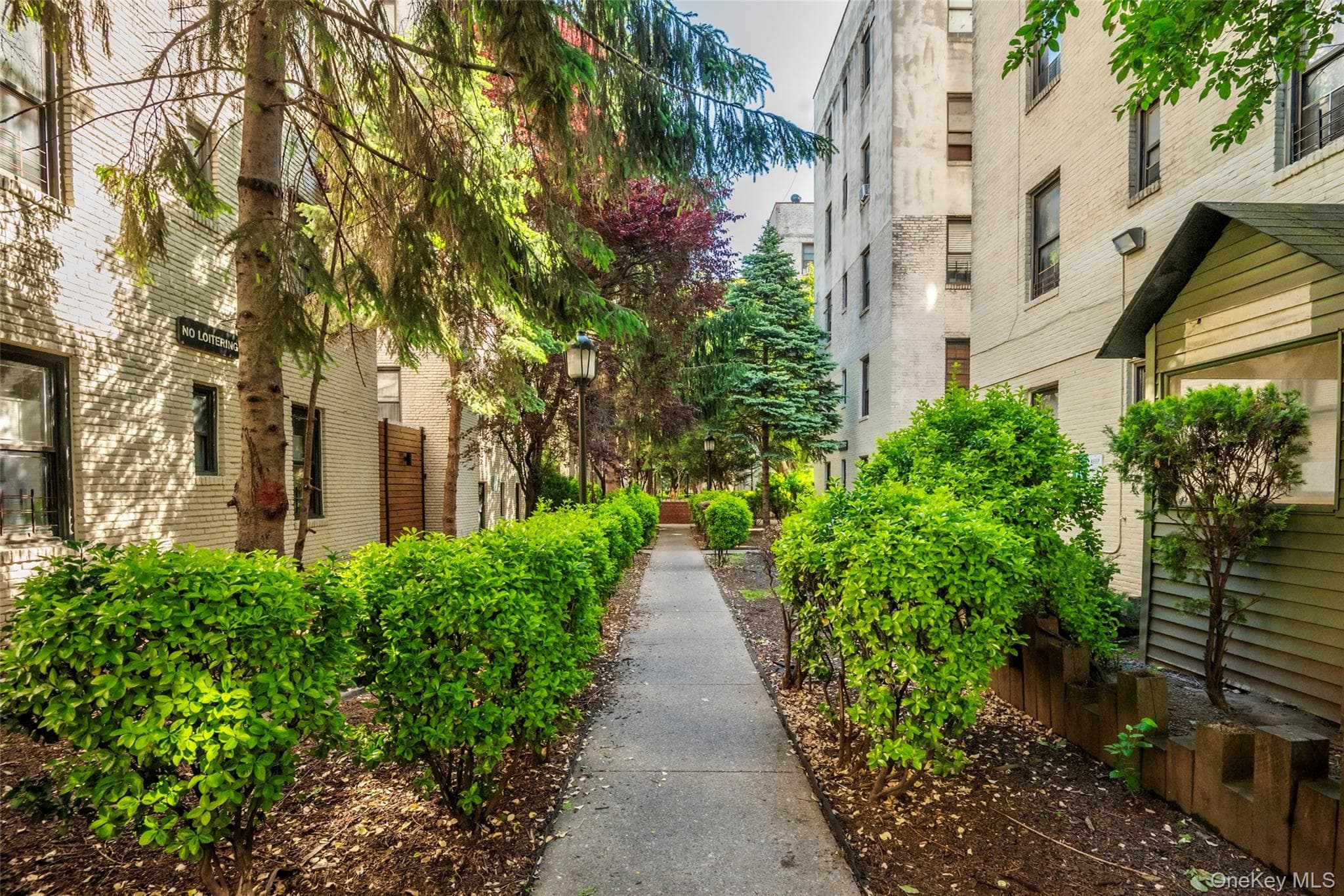 21-77 33rd Street Unit: 2A thumbnail 13