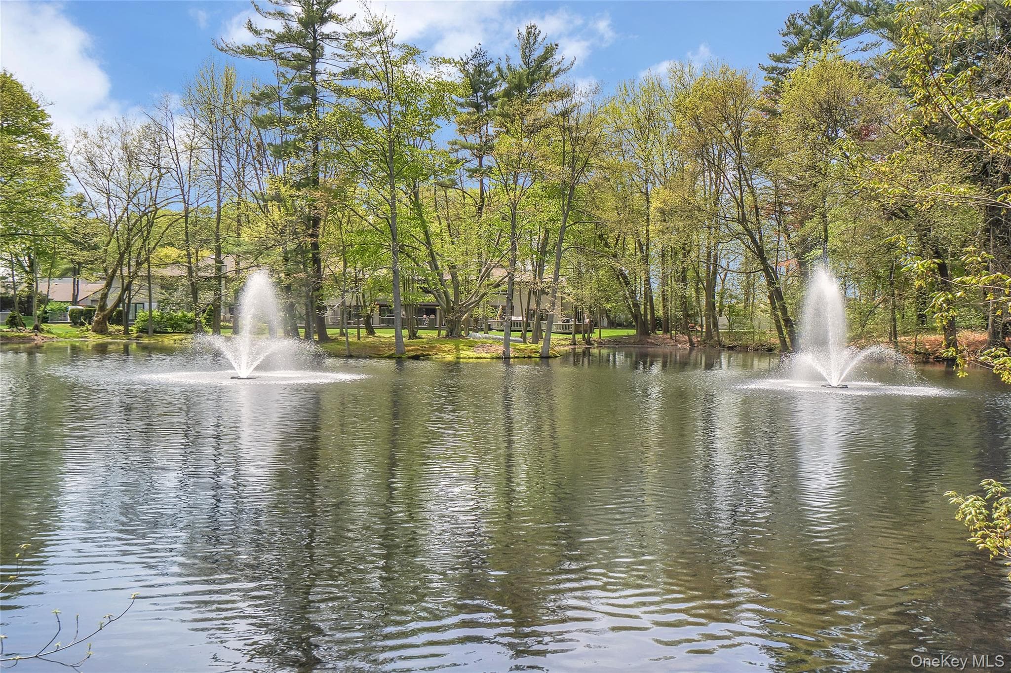 10 Pond View Court thumbnail 38