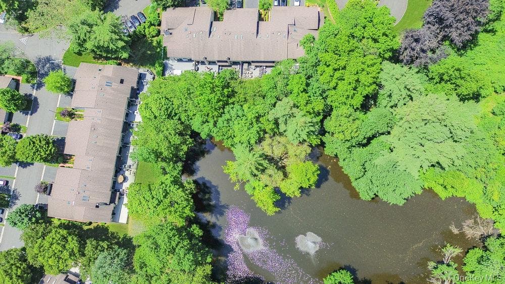 10 Pond View Court thumbnail 46