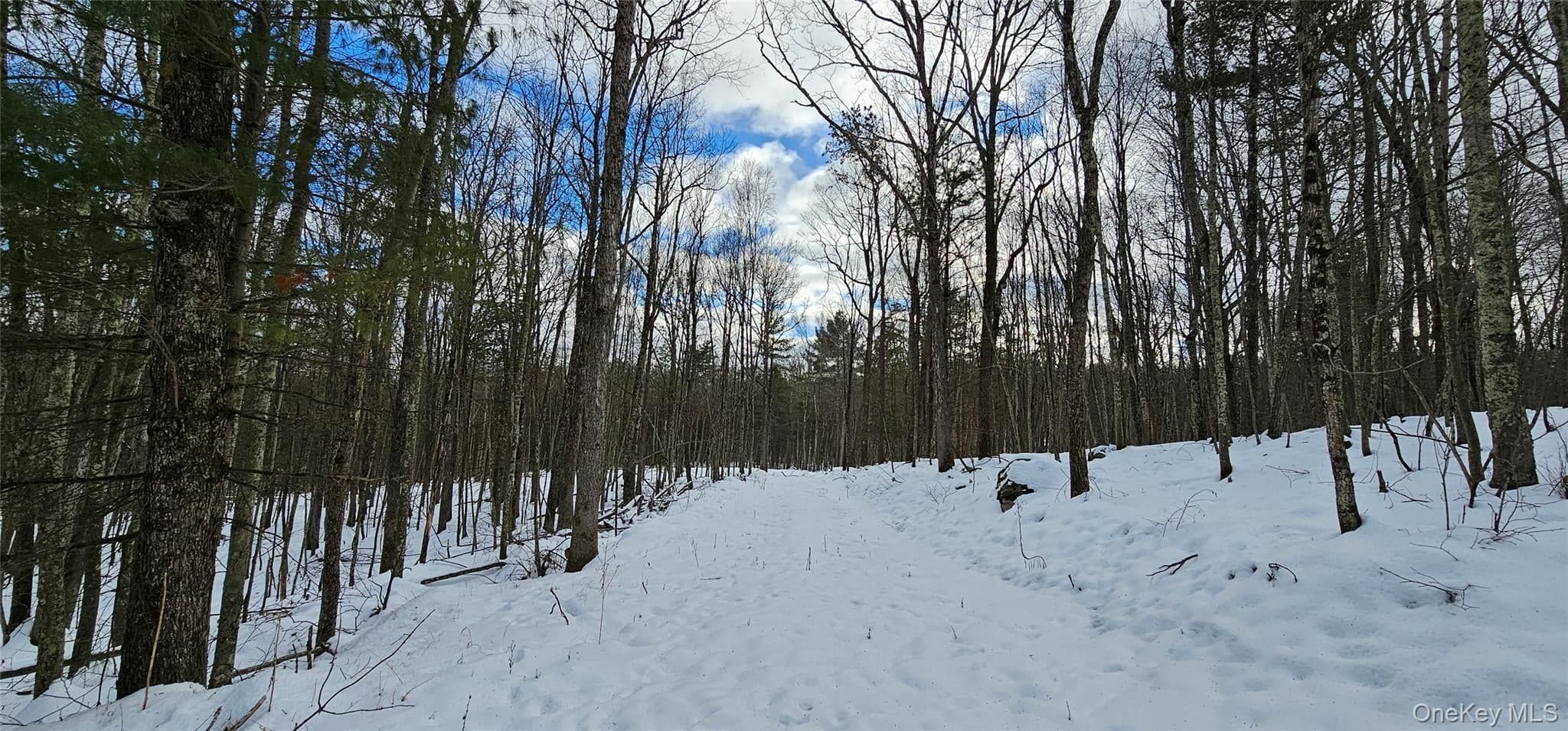 Lot 1.6 Foster (south) Trail thumbnail 9