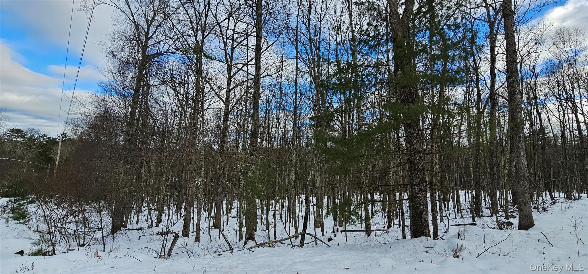 Lot 1.6 Foster (south) Trail thumbnail 8