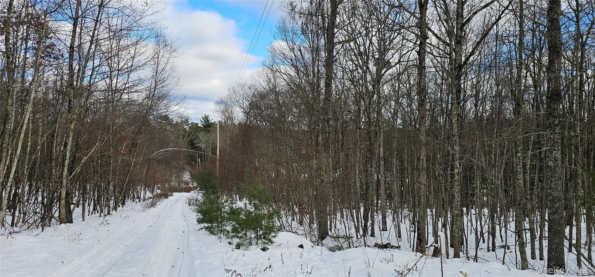 Lot 1.6 Foster (south) Trail thumbnail 13