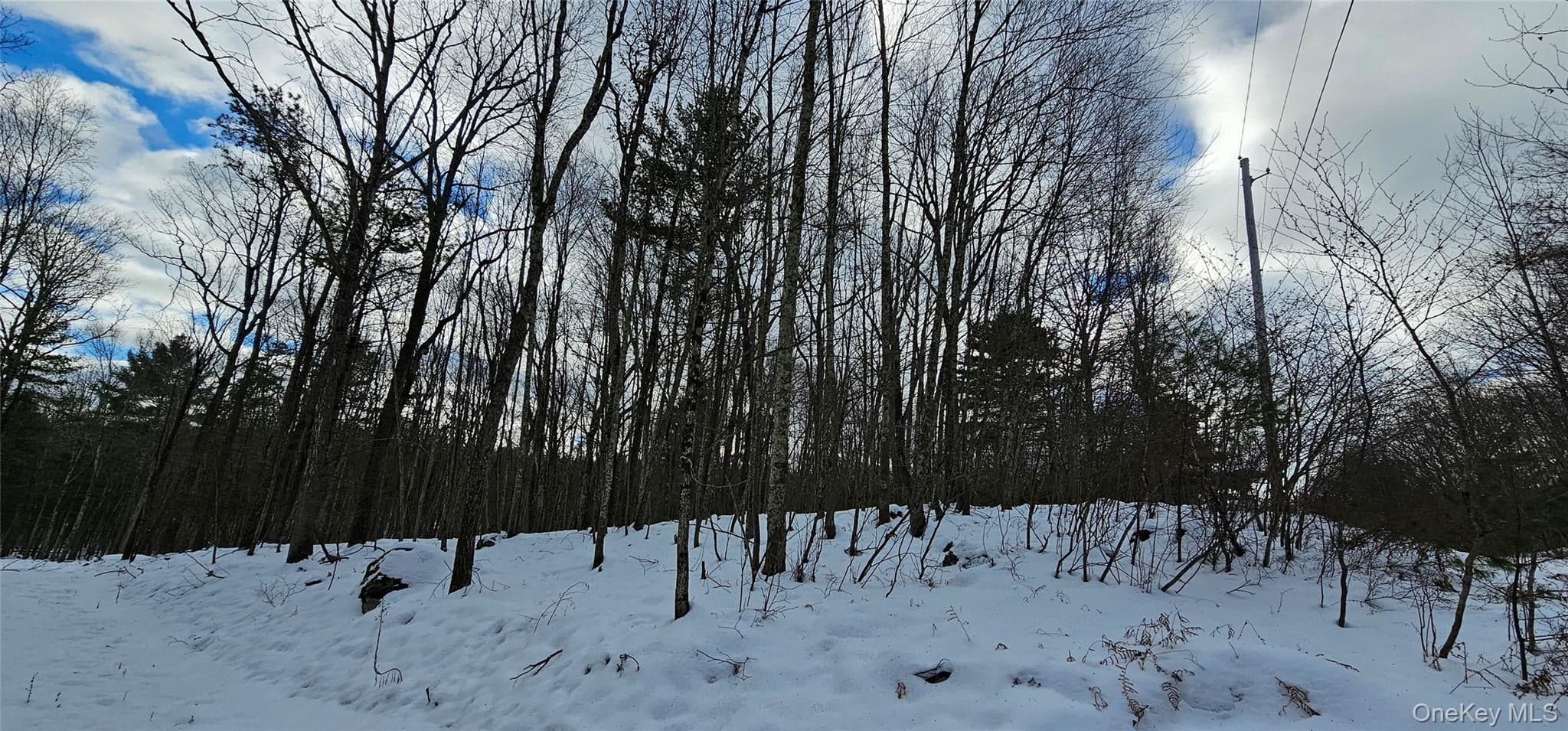 Lot 1.6 Foster (south) Trail thumbnail 10