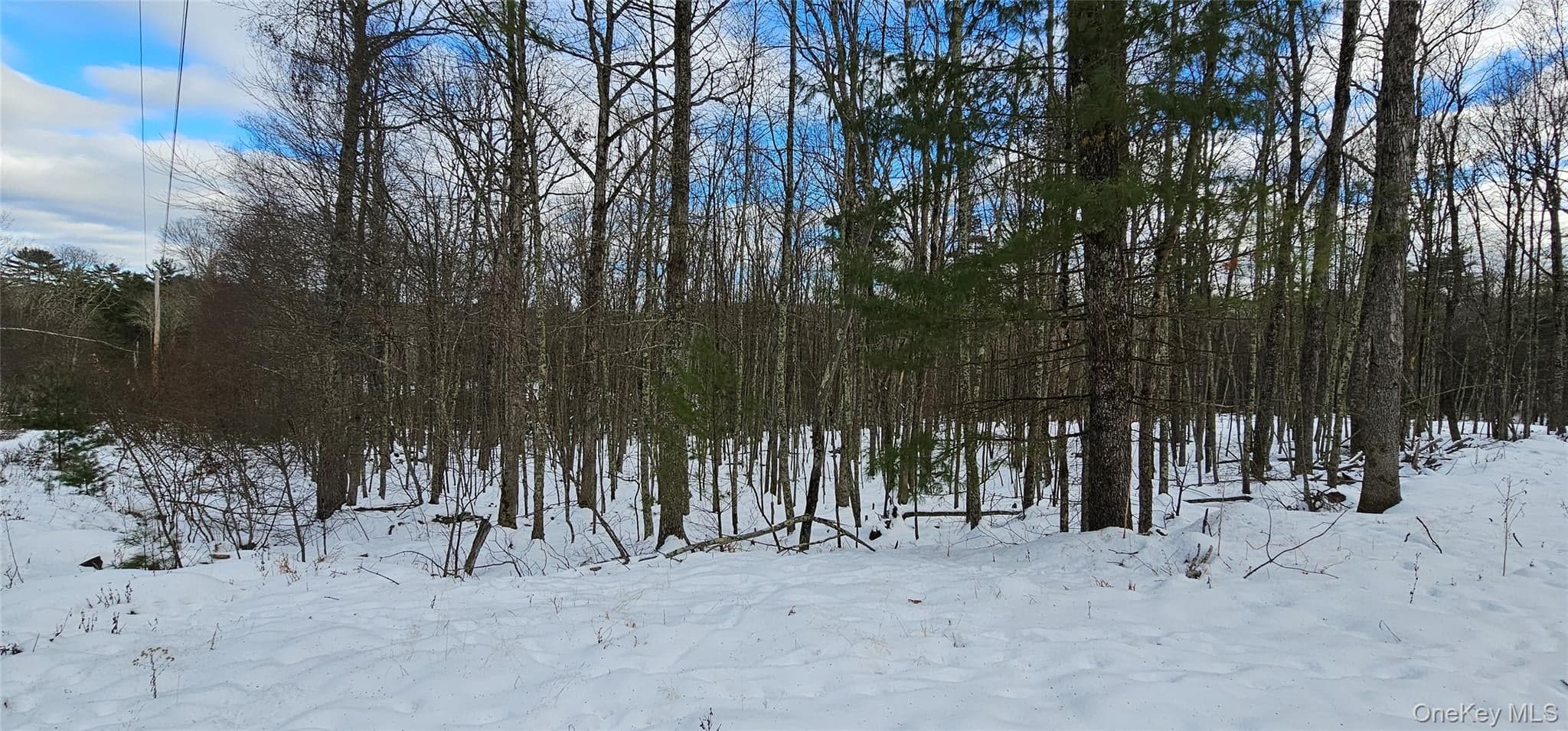 Lot 1.6 Foster (south) Trail thumbnail 7