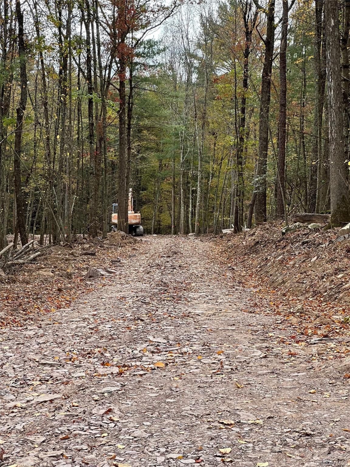 Lot 1.6 Foster (south) Trail thumbnail 3