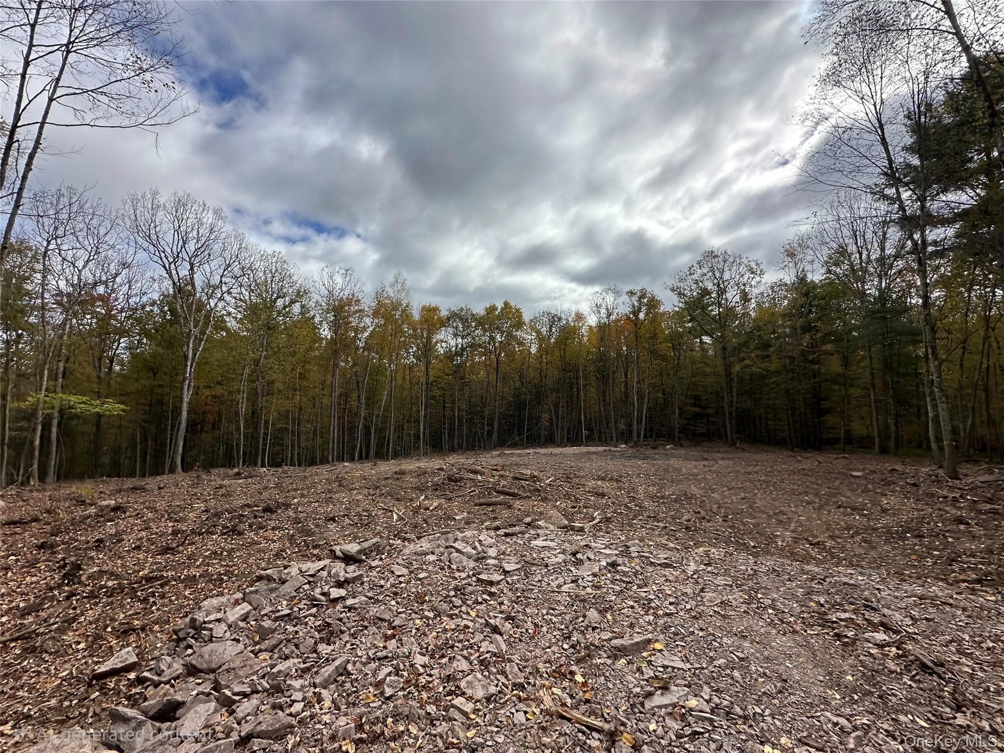 Lot 1.6 Foster (south) Trail thumbnail 4