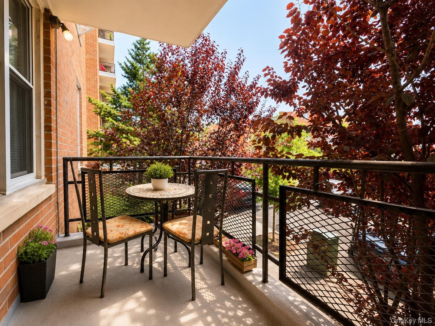67-50 Thornton Place Unit: 1D thumbnail 11