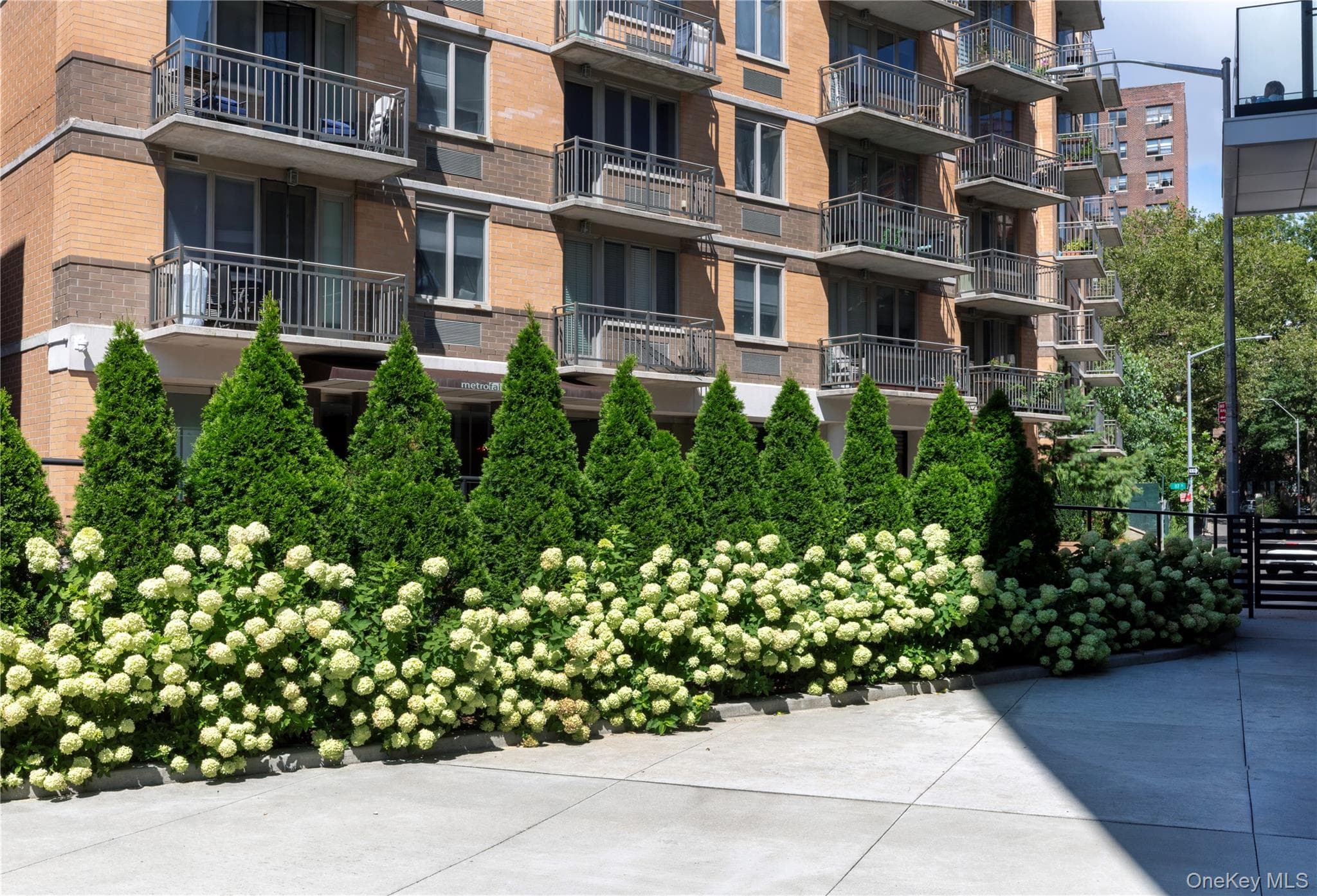 116-11 Curzon Road Unit: 4C thumbnail 2