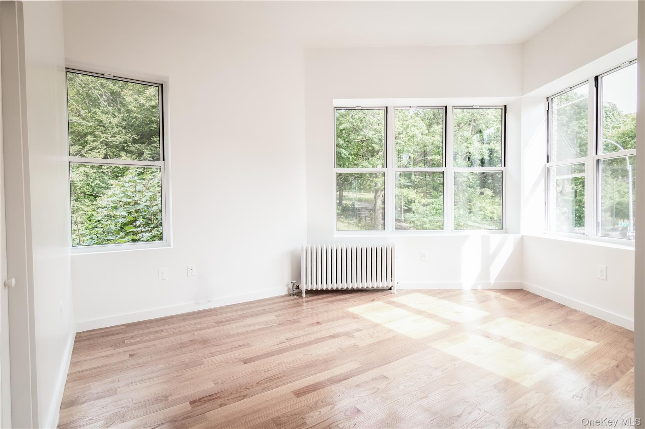 1501 Teller Avenue thumbnail 5