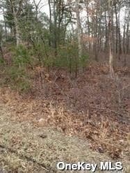 Middle Country Road thumbnail 3