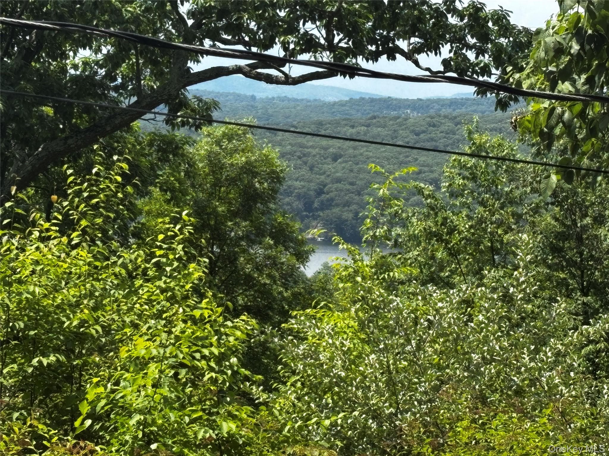 560 Oscawana Lake Road thumbnail 10