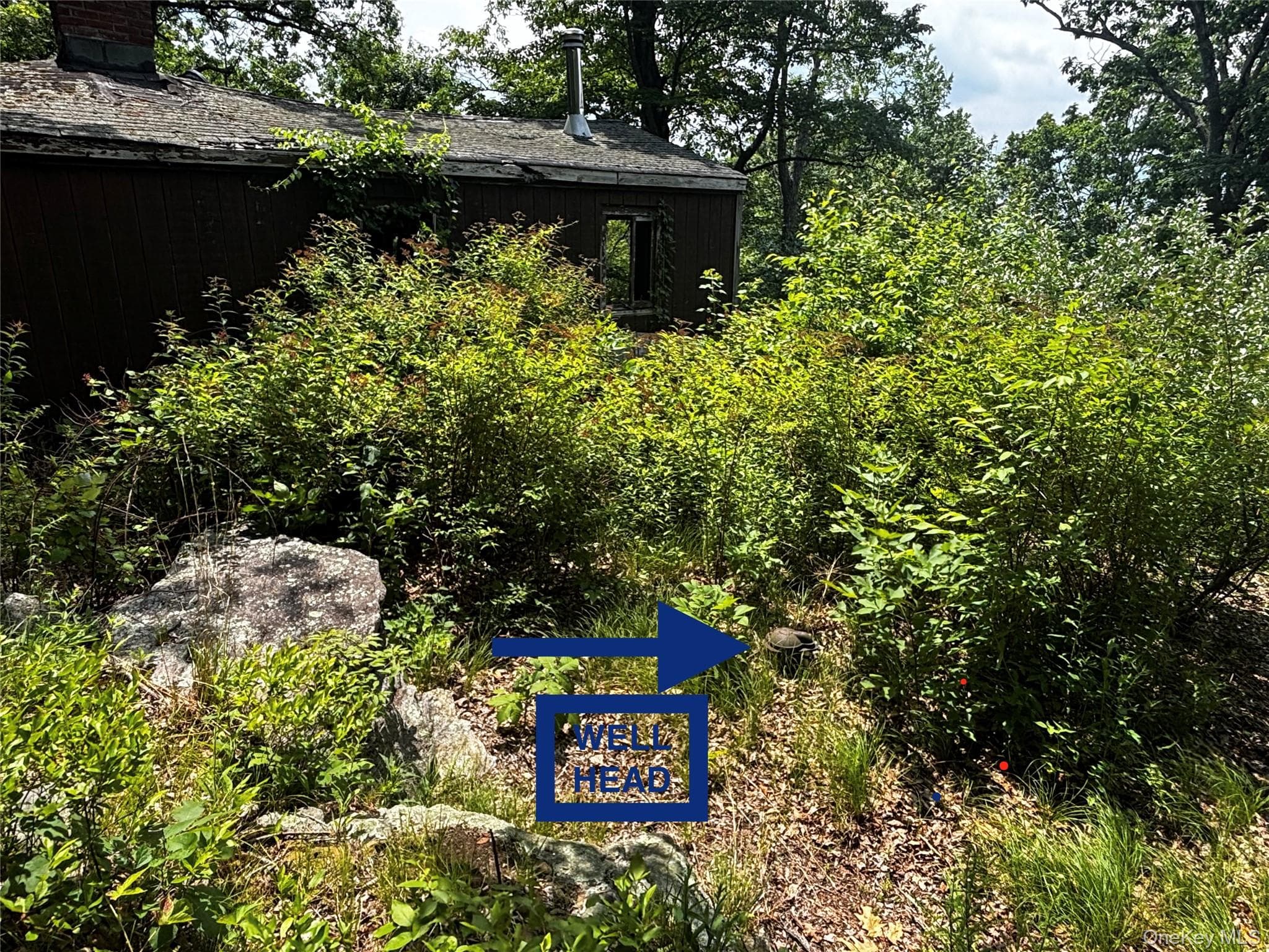 560 Oscawana Lake Road thumbnail 13