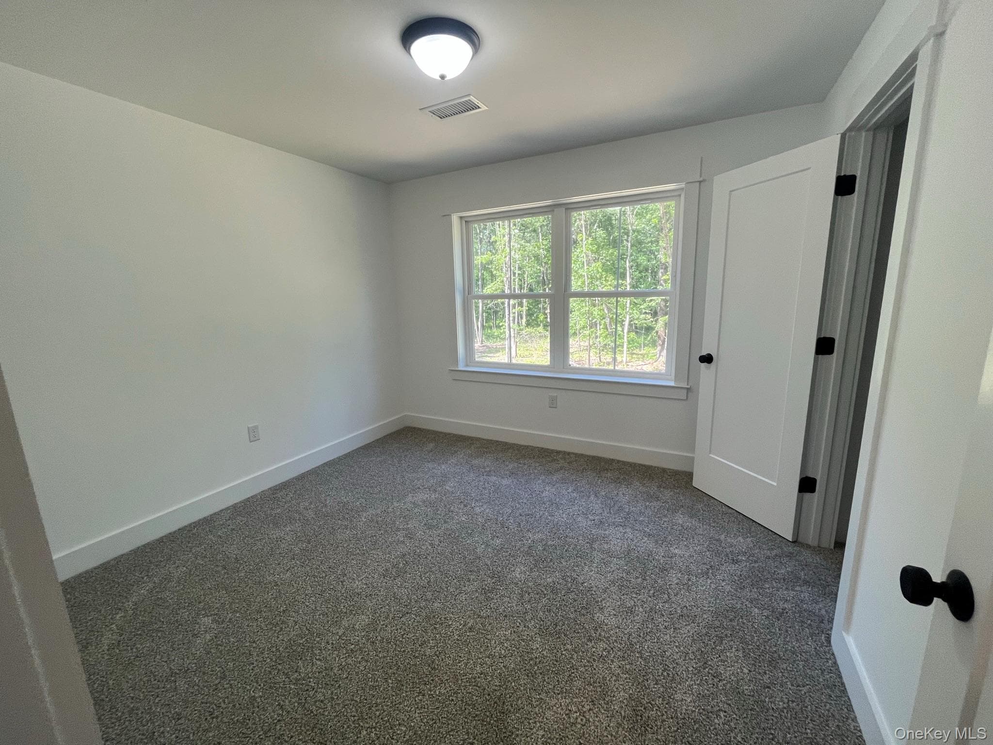 38 Azalea Lane thumbnail 35