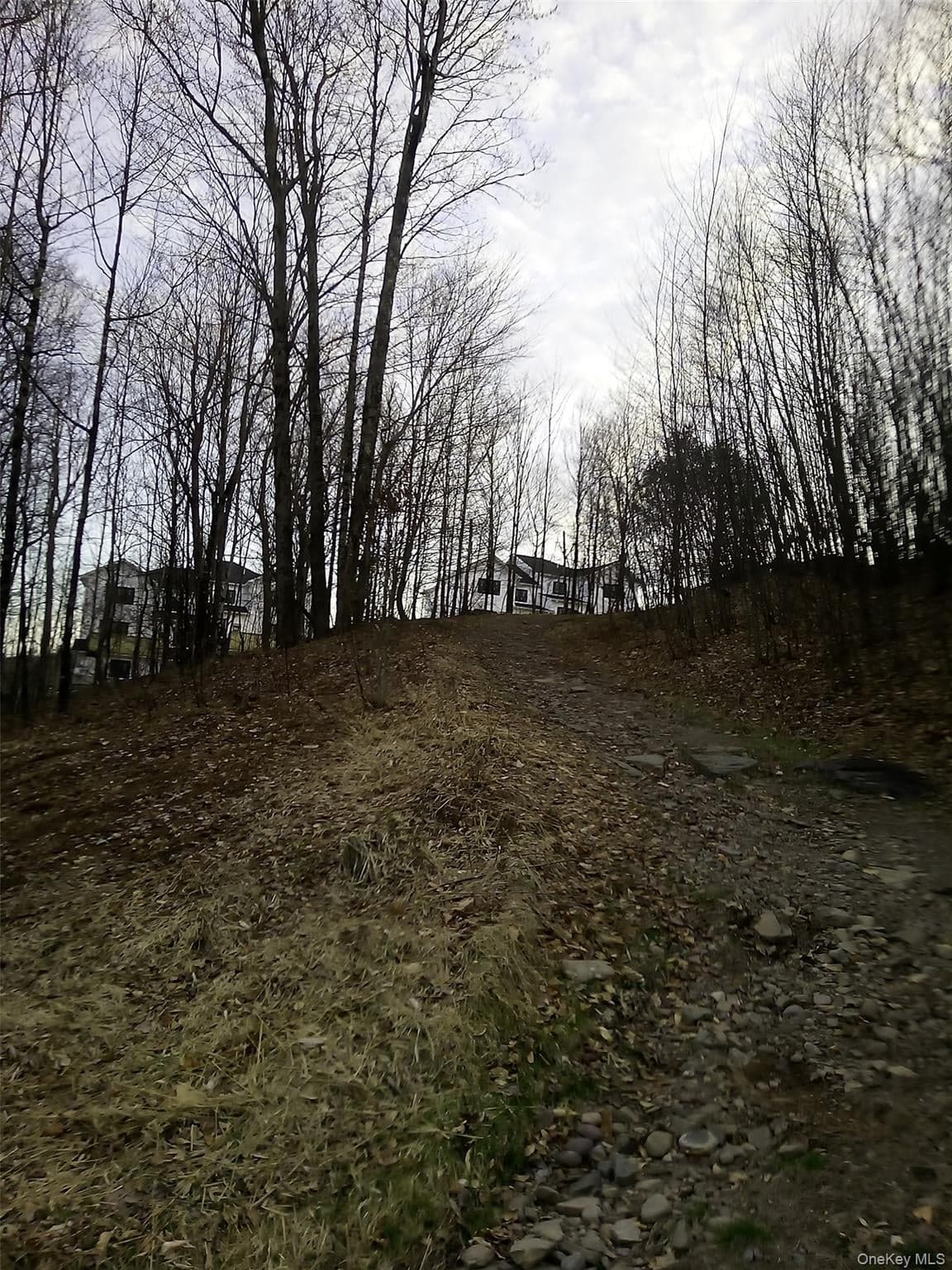 Gibber Road thumbnail 5