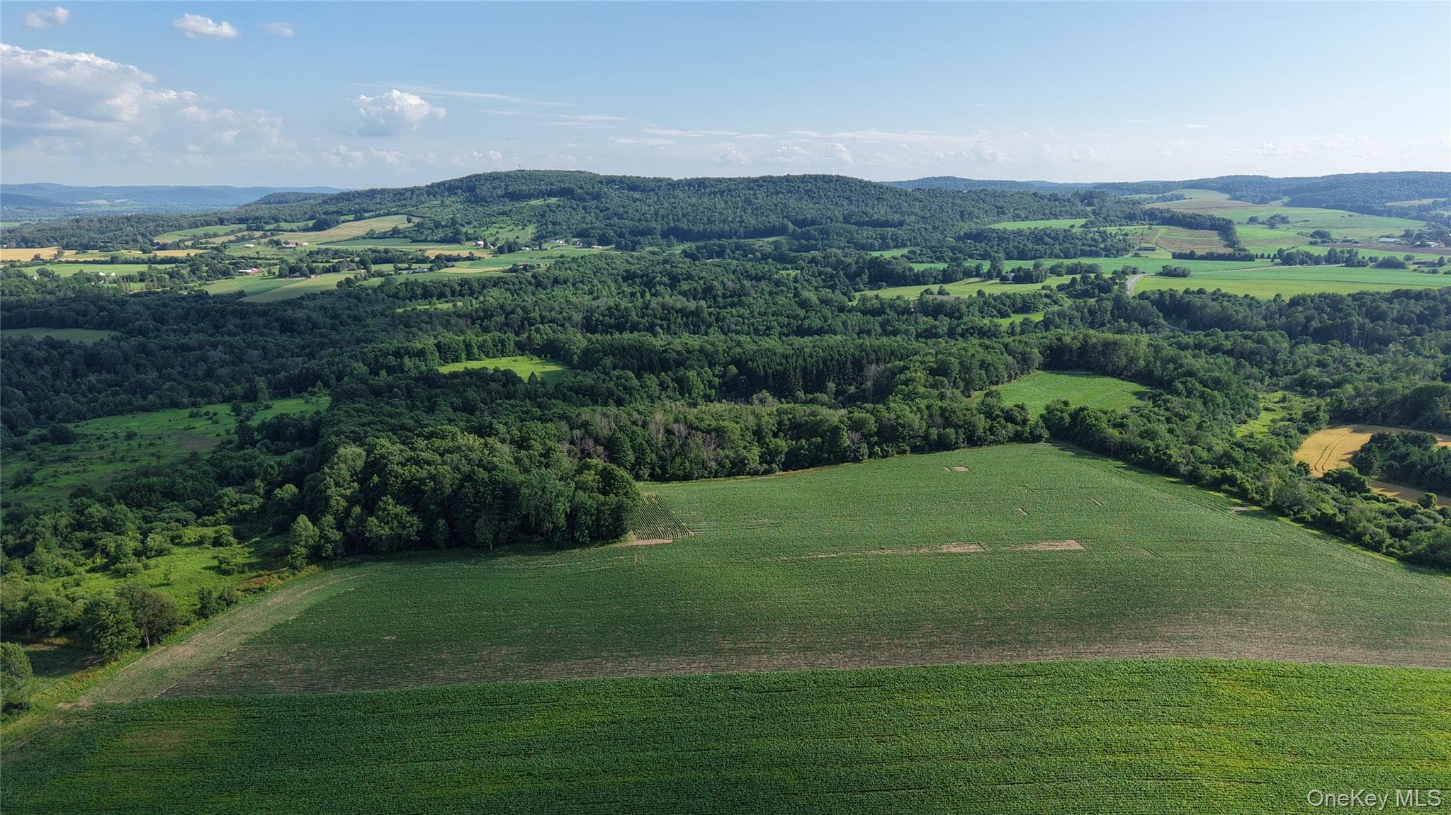 9339 Crooked Hill Road thumbnail 35